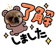 785320858