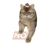 785321157