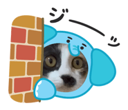 785324629