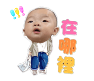 785325155