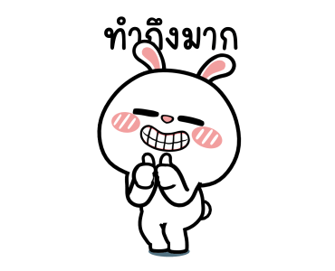 ลายที่ 13