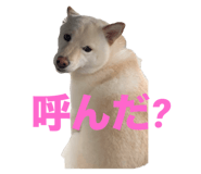 785363097