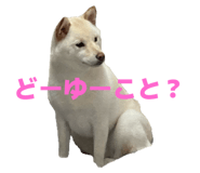 785363099