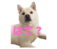 785363100