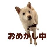 785363102