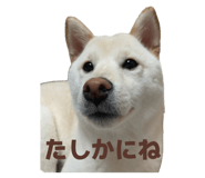 785363104