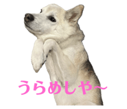 785363705