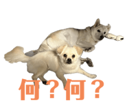 785363707