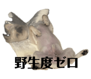 785363710