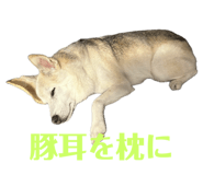 785363711