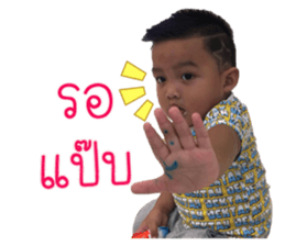 78536610