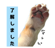785378180