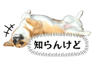 785378195