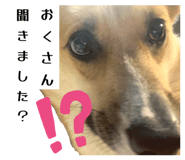 785378199