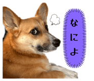 785378204