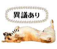 785378205