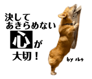 785378208