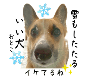 785378214