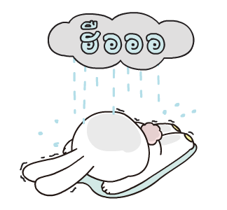 ลายที่ 43