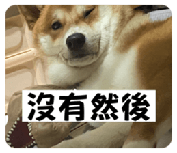 785380508