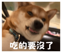 785380523