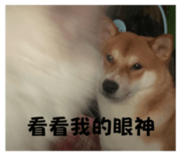 785380536
