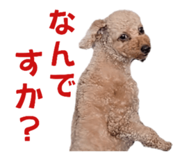 785382981