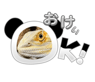 785383637