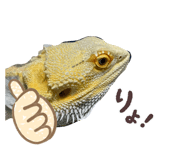 785383651