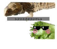 785383652