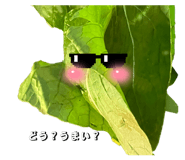 785383654