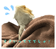 785383655