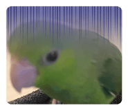 785391730