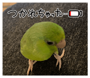 785391732