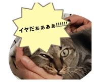 785395780