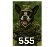 785410253
