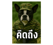 785410255