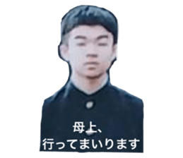 785416117