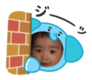 785444955