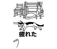 785445096