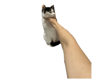 785448901