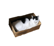 785448913