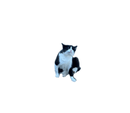 785448920