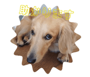 785459985