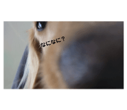785460009