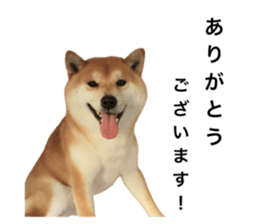 785468657