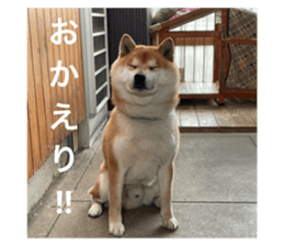785468660