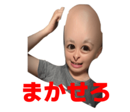 785503891