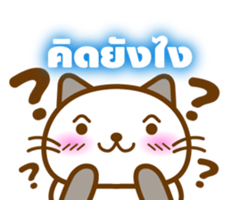 7855197