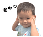 785522081